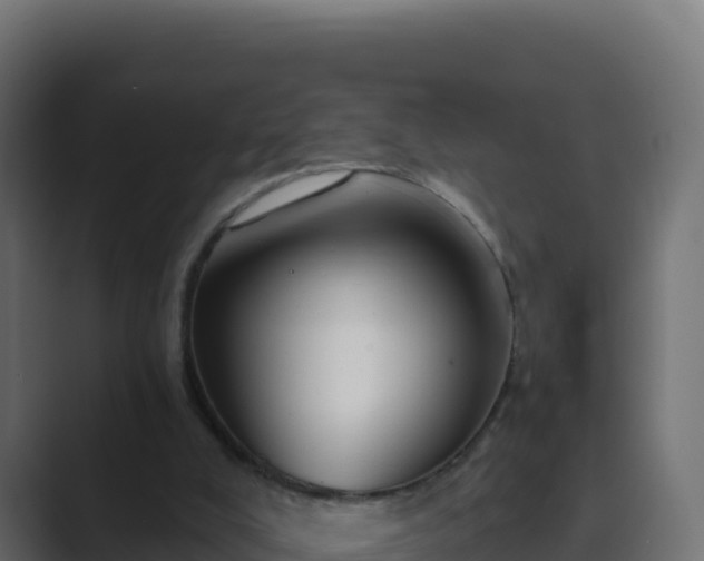 X0000089680008200706281406
