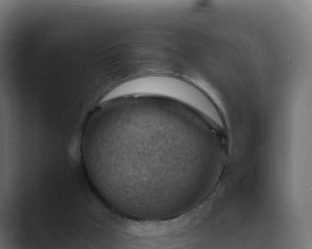 X0000089680009200706281406
