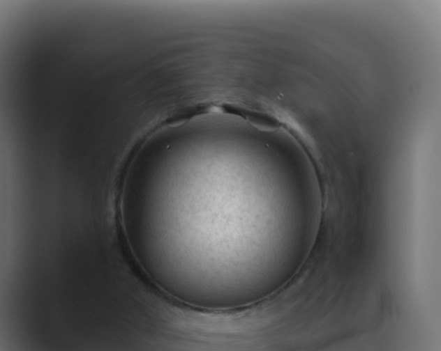X0000089680010200706281406