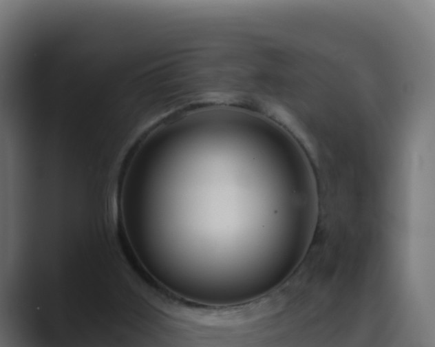 X0000089680011200706281406