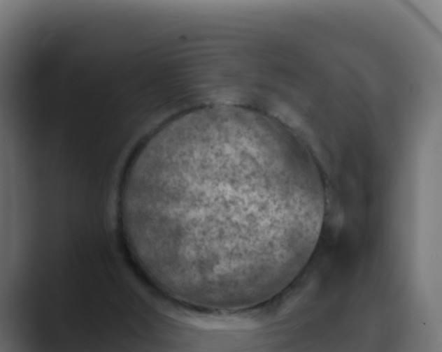 X0000089680012200706281406