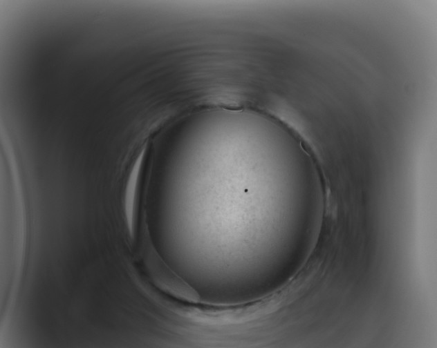 X0000089680013200706281406