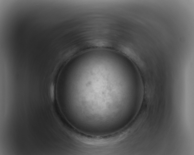 X0000089680014200706281406