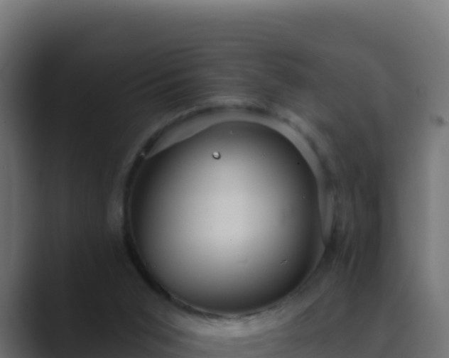 X0000089680015200706281406