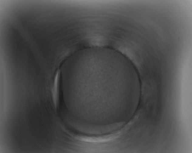 X0000089680017200706281406