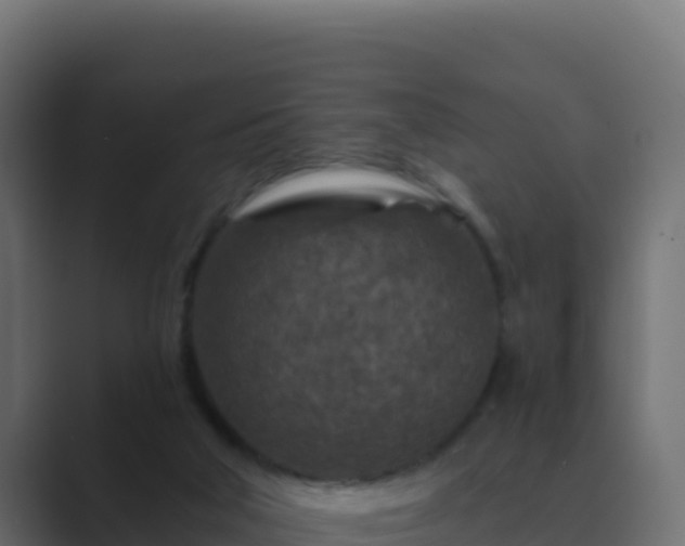 X0000089680018200706281406