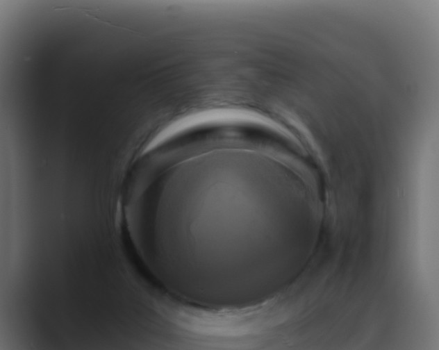 X0000089680019200706281406