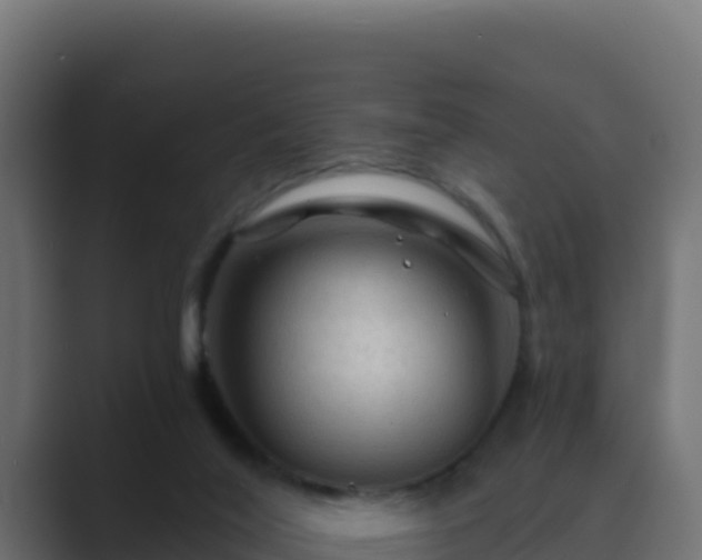 X0000089680020200706281406