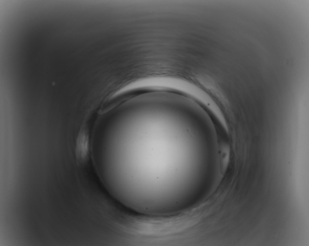 X0000089680021200706281406