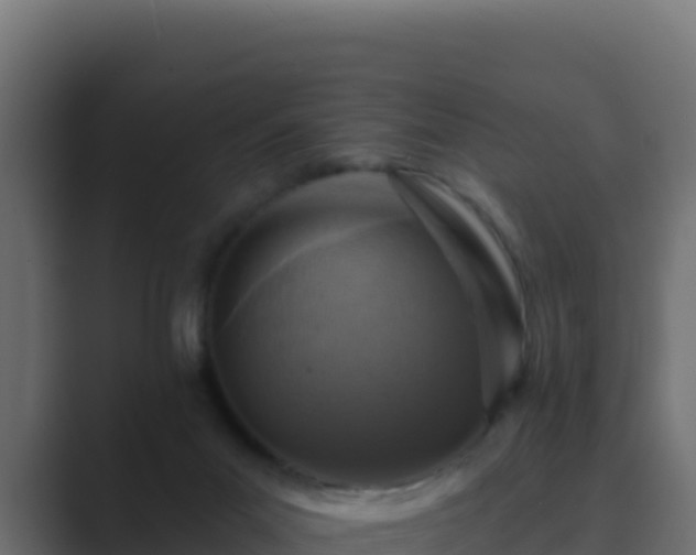 X0000089680023200706281406