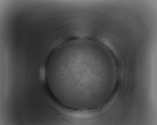 X0000089680024200706281406