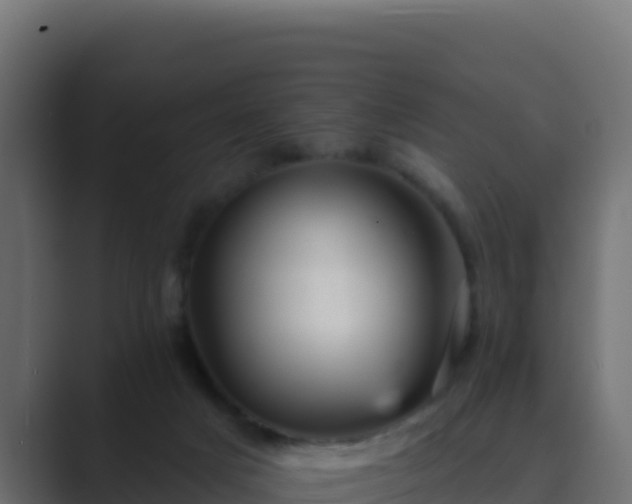 X0000089680025200706281406