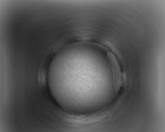 X0000089680026200706281406