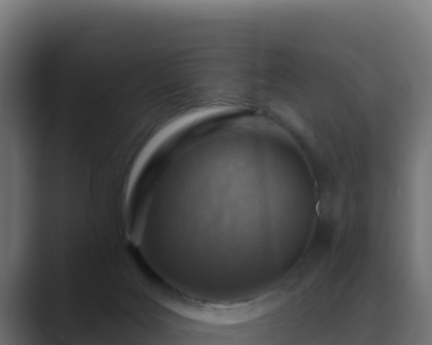 X0000089680027200706281406