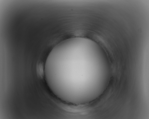 X0000089680028200706281406