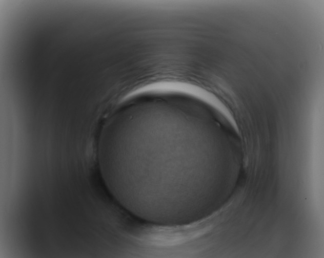 X0000089680029200706281406
