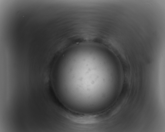 X0000089680032200706281406