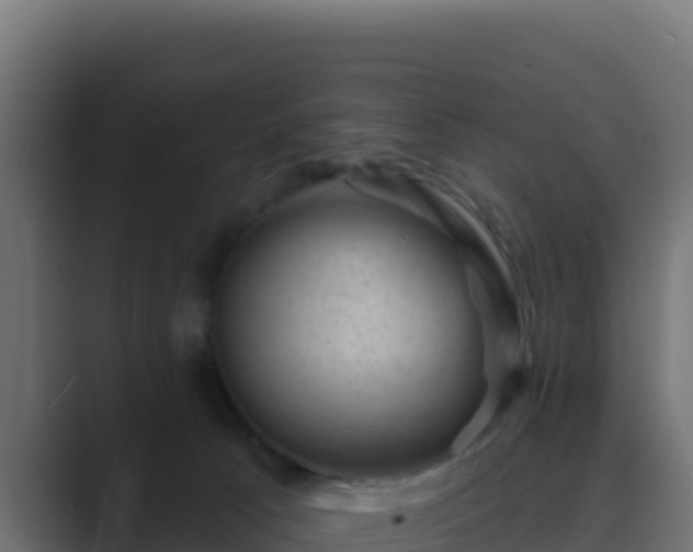 X0000089680033200706281406
