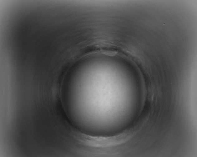 X0000089680034200706281406