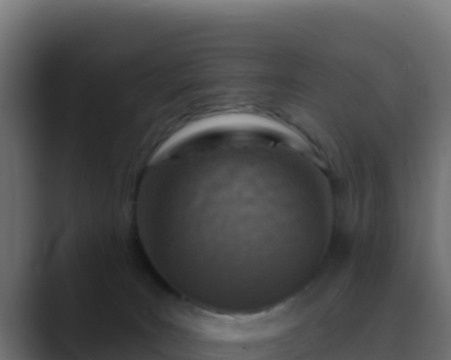 X0000089680035200706281406