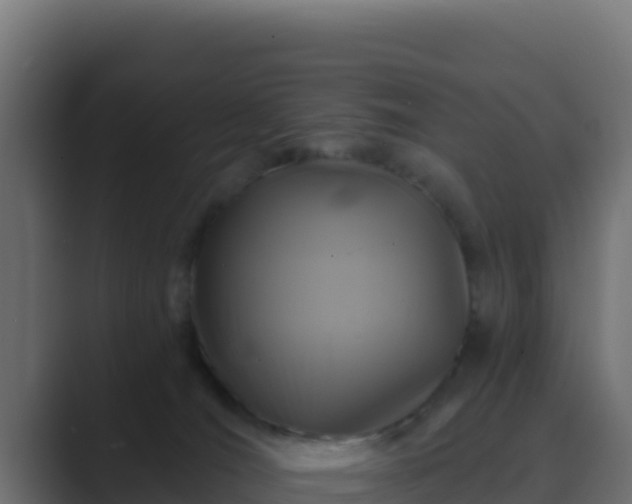 X0000089680036200706281406