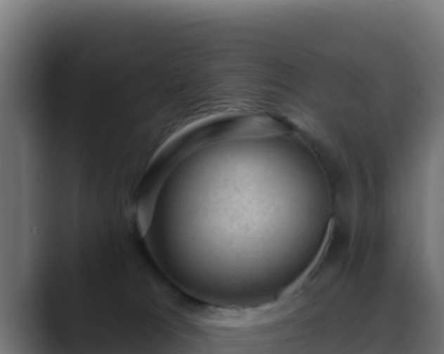 X0000089680037200706281406