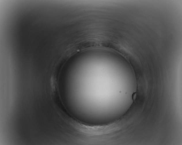 X0000089680038200706281406