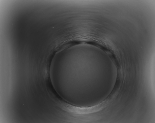 X0000089680039200706281406