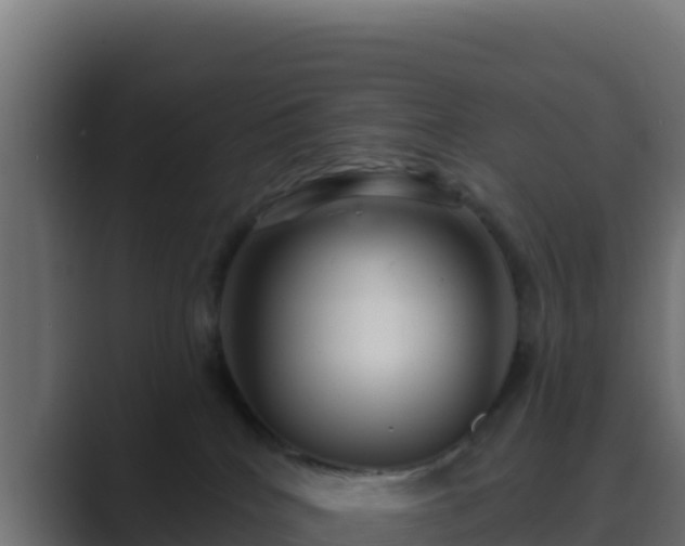 X0000089680040200706281406