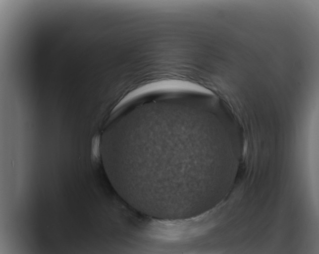 X0000089680041200706281406