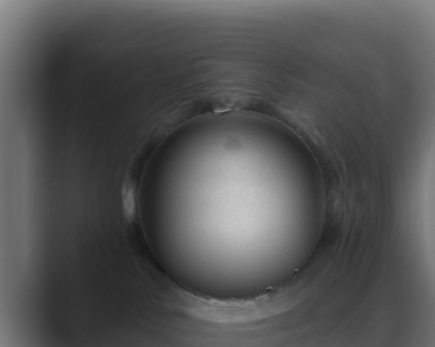 X0000089680042200706281406