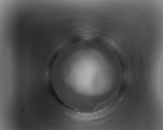 X0000089680043200706281406