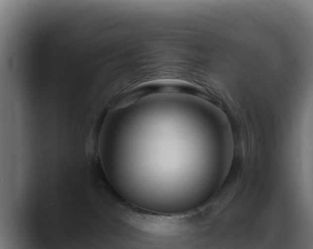 X0000089680044200706281405