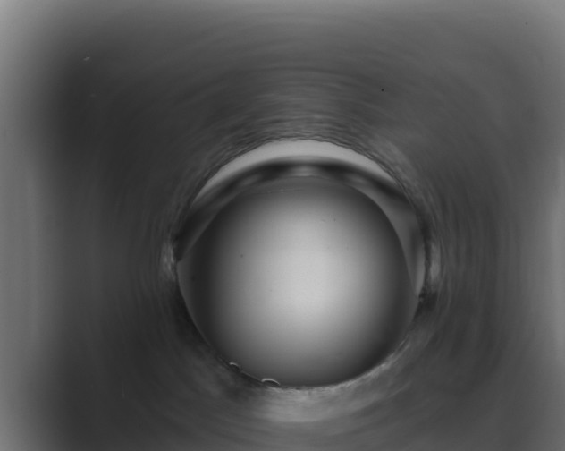 X0000089680045200706281405