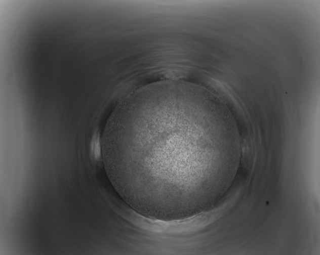 X0000089680046200706281405