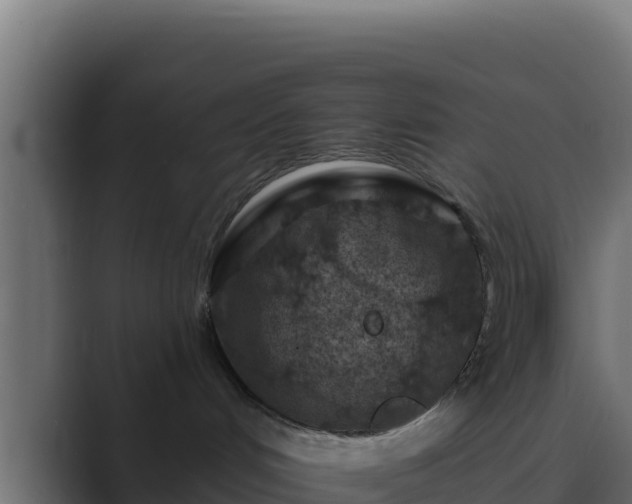 X0000089680048200706281405