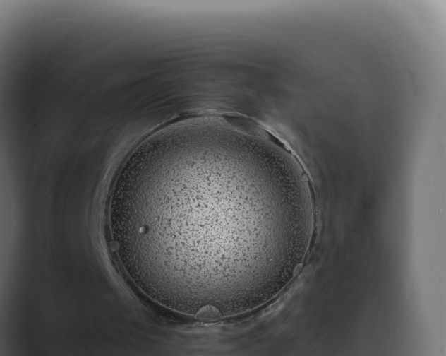 X0000089680049200706281405