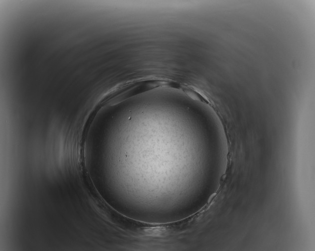 X0000089680050200706281405