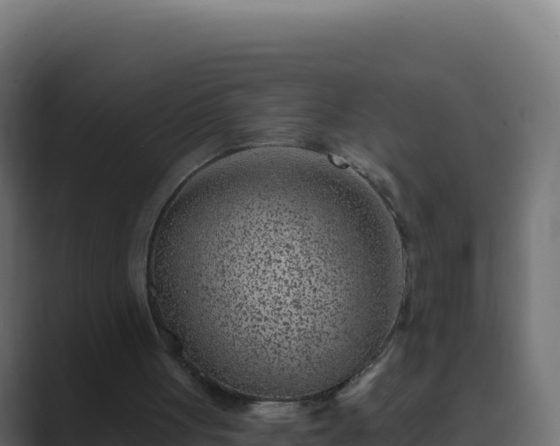 X0000089680051200706281405