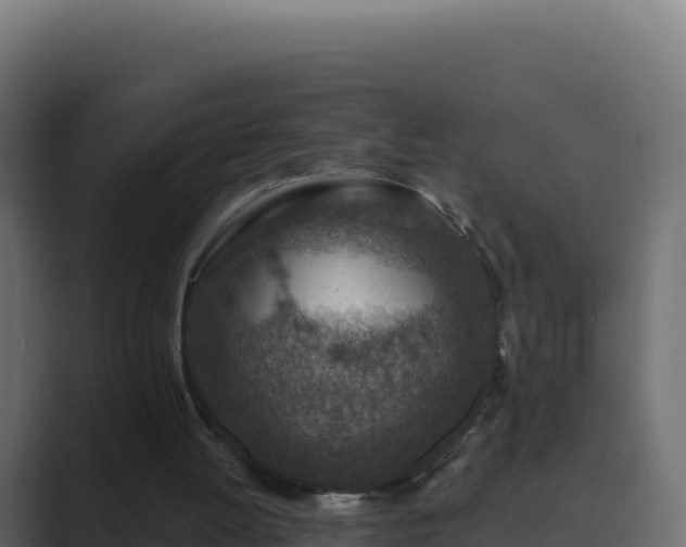 X0000089680052200706281405