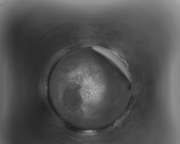 X0000089680053200706281405