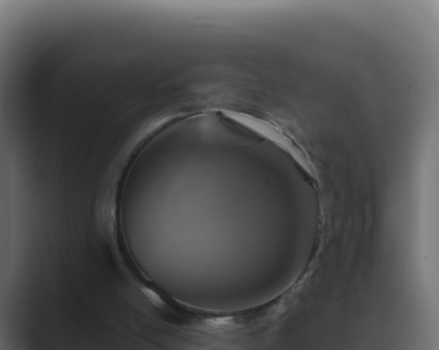 X0000089680054200706281405