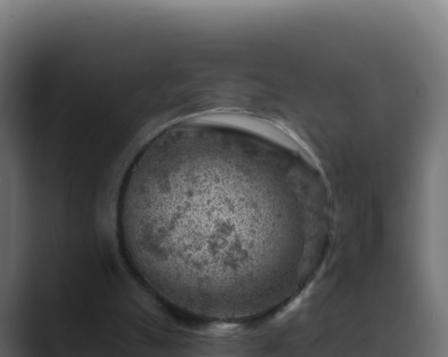 X0000089680055200706281405
