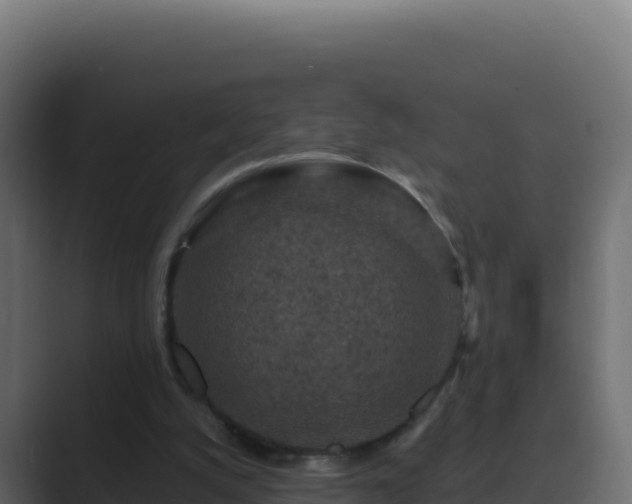 X0000089680056200706281405
