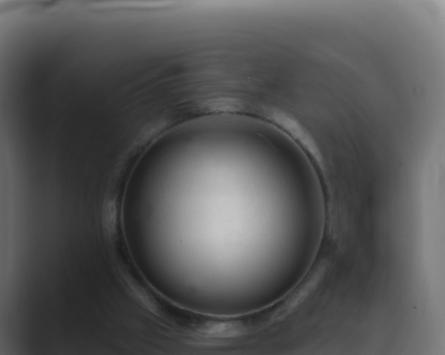 X0000089680057200706281405