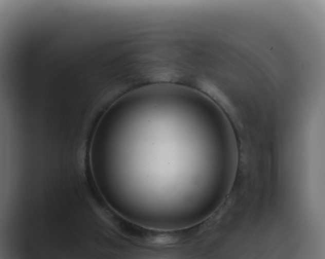 X0000089680058200706281405