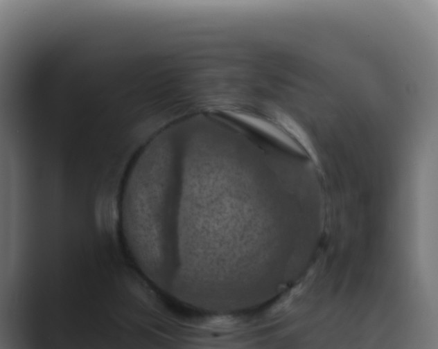 X0000089680059200706281405