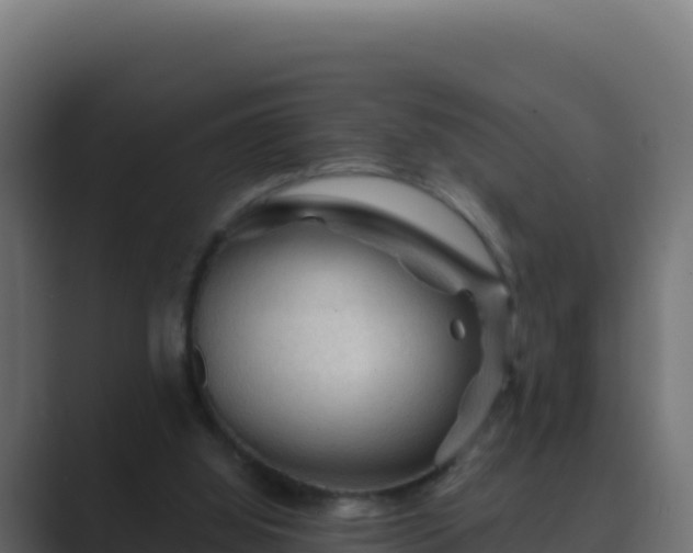 X0000089680060200706281405