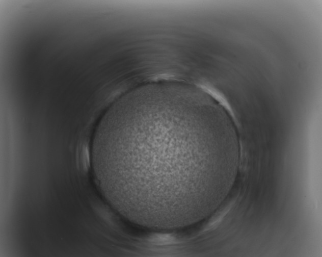 X0000089680061200706281405