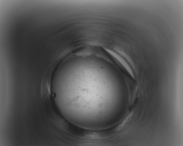 X0000089680062200706281405
